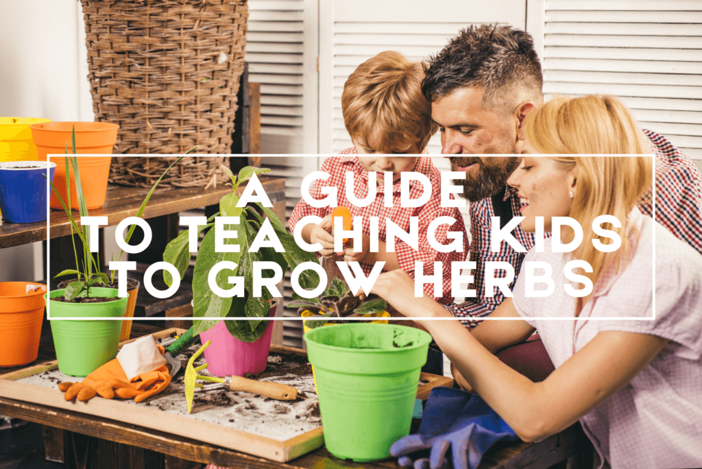 Teaching Kids to Grow Herbs