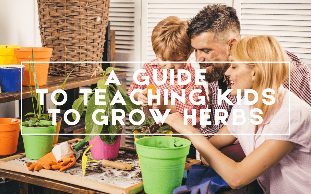 Teaching Kids to Grow Herbs
