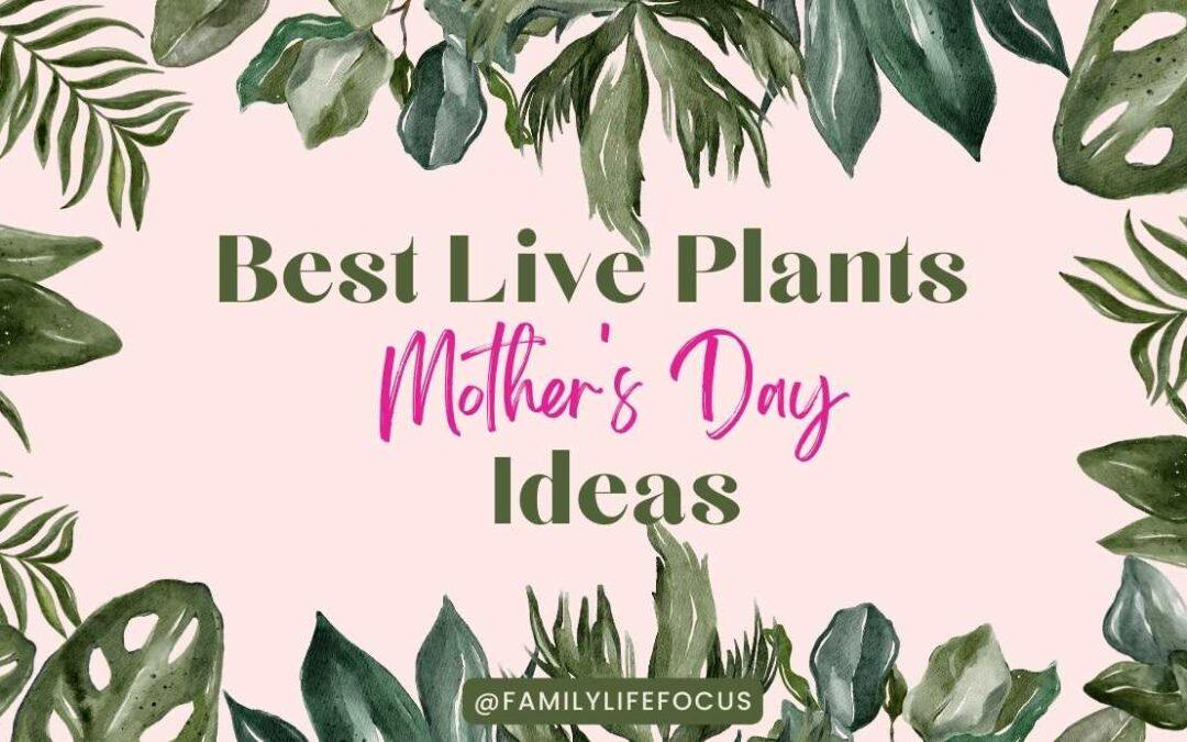 Title-Best Live Plants Mother's Day Ideas